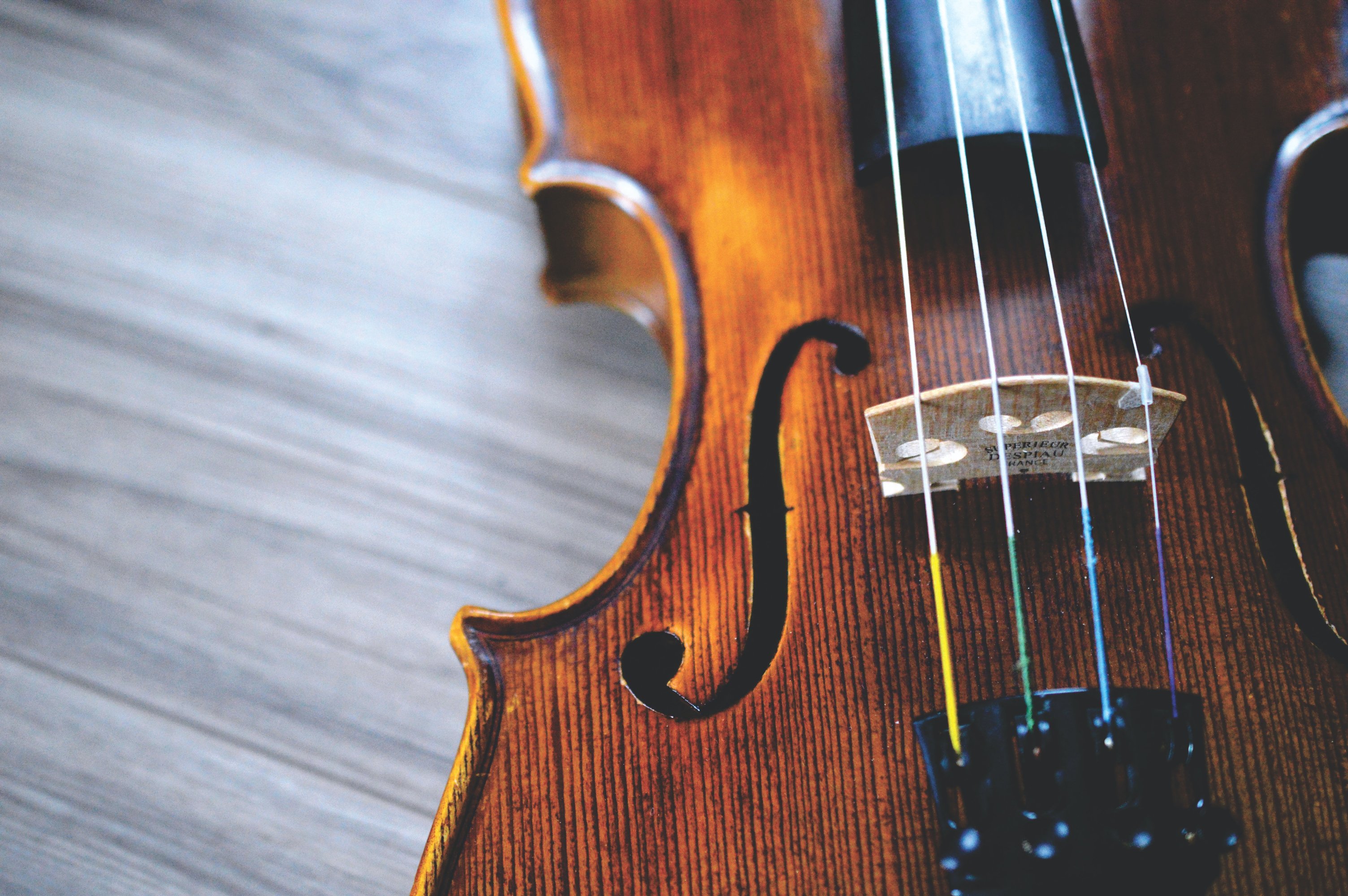 Close up of Adagio Pro Violin Strings